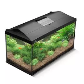 !Аквариум AQUAEL LEDDY SET 80, 105 л, ЧЕРНЫЙ, со светодиодным освещением