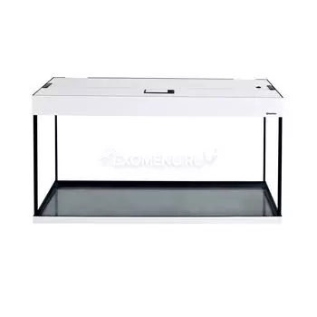 Аквариум AquaPlus 200 (1000х400х560-6/8), 185л. прямоугольный со светильником LUX 2х30Вт. белое дерево