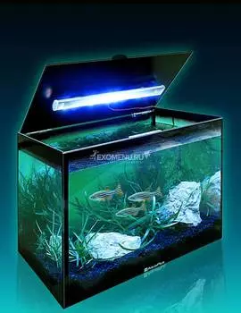 Аквариум AquaPlus LED компакт (310х200х250-4) со светильником LED RGB