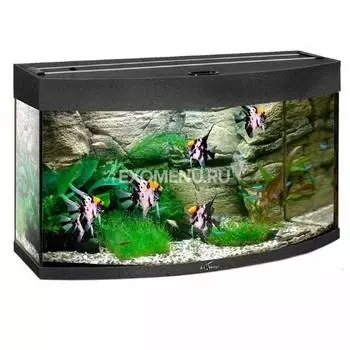 Аквариум Biodesign ПАНОРАМА 60 (черный ) без свет-ка, с покр.крышками стPilkington Optifloat(пол.евр), 58 л, 56х32х44 см