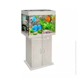 Аквариум Biodesign Риф 100, 100 л, 56х44х52 см, беленый дуб, без светильника