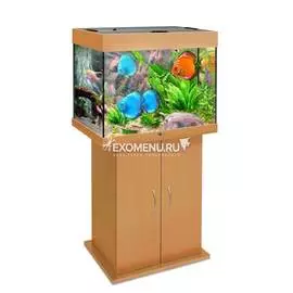 Аквариум Biodesign Риф 100, 100 л, 56х44х52 см, бук, без светильника