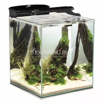 Aквариум SHRIMP SET DUO LED AQUAEL черный, 49 л., (35*35*40 см.), навесной внешний фильтр VERSAMAX 2 черный, обогреватель COMFORT ZONE FIX 50 Вт, светильник LEDDY SLIM DUO SUNNY&amp;PLANT 10W черный