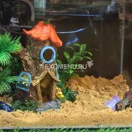 Аквариумный комплект "Домик гнома"