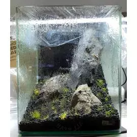 Аквариумный комплект "Сухой запуск #2"