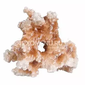 AQUA DELLA Декорация для аквариума "Коралл", коричневый, 11.5x6.5x10 (Бельгия)