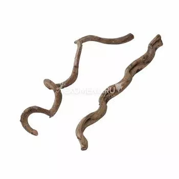 AQUA DELLA Декорация для террариума "Лиана натуральная", SM - 75см (Бельгия)