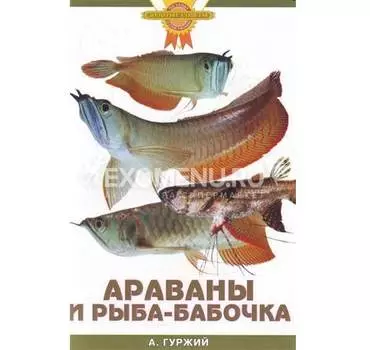 АРАВАНЫ И РЫБА-БАБОЧКА (цвет) Гуржий А.Н.