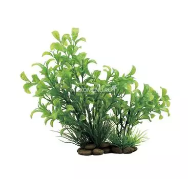 ArtUniq Ludwigia green 20 - Искусственное растение Людвигия зеленая, 20 см