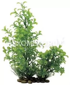 ArtUniq Ludwigia green 30 - Искусственное растение Людвигия зеленая, 30 см