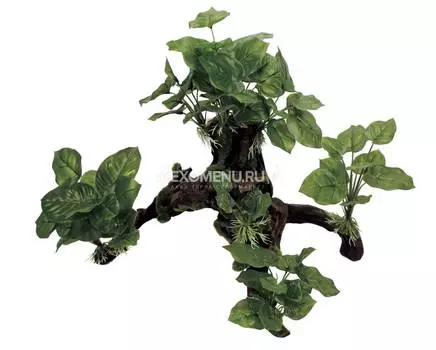 ArtUniq Mangrove Driftwood With Anubias L2 - Декоративная композиция из пластика "Мангровая коряга с анубиасом", 43x25,2x39,5 см