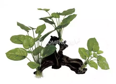 ArtUniq Mangrove Driftwood With Anubias S2 - Декоративная композиция из пластика "Мангровая коряга с анубиасом", 20x8x24 см