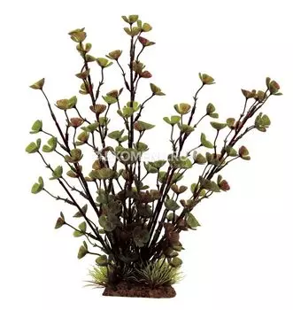 ArtUniq Marsilea 32 - Искусственное растение Марсилия, 32 см