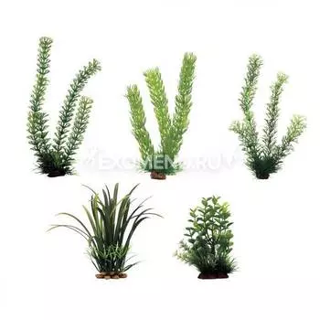 ArtUniq Plant Mix Set 5M - Набор искусственных растений Амбулия, Роголистник, Перистолистник, Офиопогон, Бакопа, 15-35 см, 5 шт