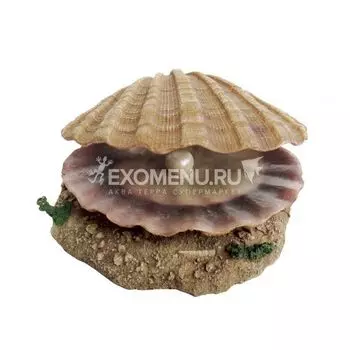 ArtUniq Shell With A Pearl - Декоративная композиция "Раковина с жемчужиной", с подвижным элементом, 14,5x13,3x6,5 см