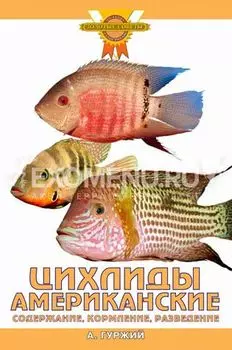 ЦИХЛИДЫ АМЕРИКАНСКИЕ. Содержание, кормление, разведение (цвет.)