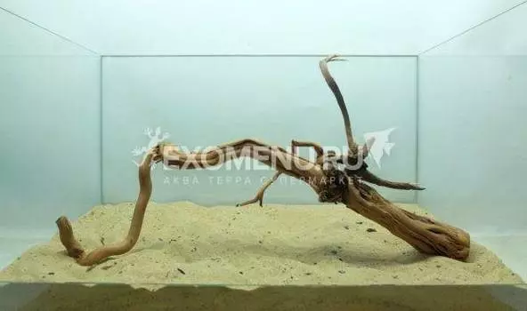 DECOTOP Antigua L - Натуральная коряга 17-55 см для аквариумов от 30 л