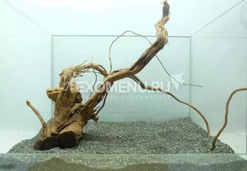 DECOTOP Antigua XL - Натуральная коряга 18-60 см для аквариумов от 40 л