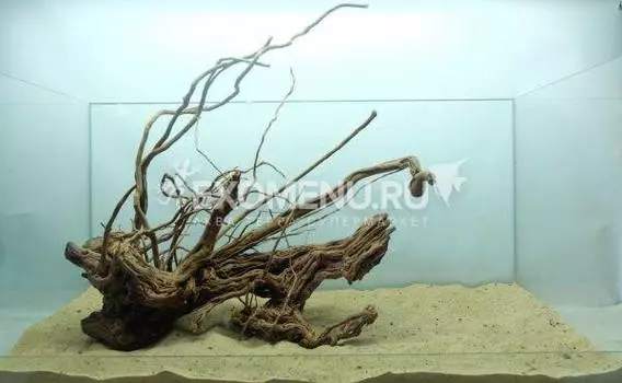 DECOTOP Antigua XXXL - Натуральная коряга 20-70 см для аквариумов от 60 л