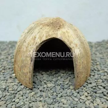 DECOTOP Coco Cover Endo 1/2 M-1 Укрытие из плода кокоса, до 12 см