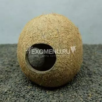 DECOTOP Coco Cover Endo S - 3 - Укрытие из плода кокоса до 12 см, 3 отверстия