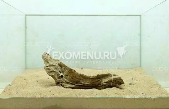 DECOTOP Java L - Натуральная коряга 10-30 см для аквариумов от 30 л