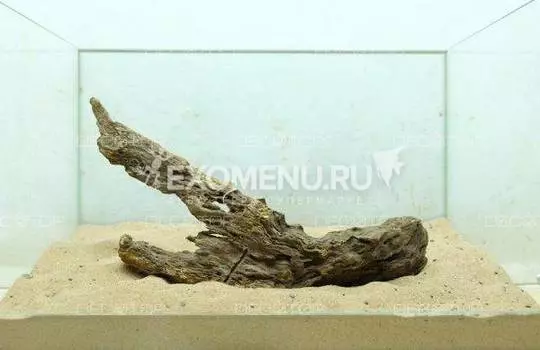 DECOTOP Java XL - Натуральная коряга 15-35 см для аквариумов от 40 л