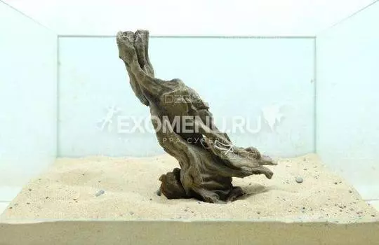 DECOTOP Java XXL - Натуральная коряга 20-40 см для аквариумов от 50 л