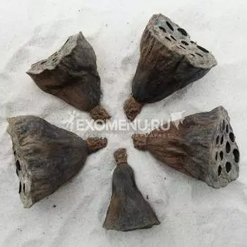 DECOTOP Lotus Pods - Коробочки лотоса орехоносного, 4×3 см, 5 шт.