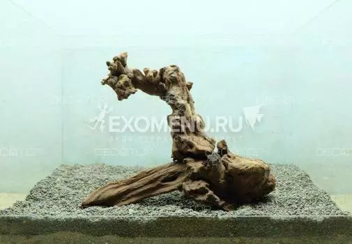 DECOTOP Sumatra M – Натуральная коряга 16- 50 см для аквариумов от 20 л