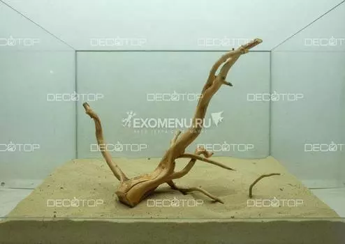 DECOTOP Taiwan L - Натуральная коряга 35-65 см для аквариумов от 60 л