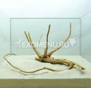 DECOTOP Taiwan S - Натуральная коряга 25-55 см для аквариумов от 40 л