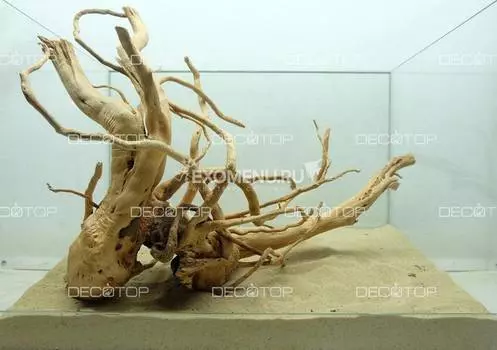 DECOTOP Taiwan XXL - Натуральная коряга 45-75 см для аквариумов от 80 л