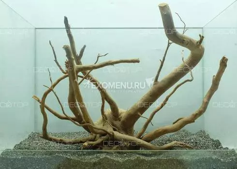 DECOTOP Taiwan XXXL – Натуральная коряга 50-80 см для аквариумов от 90 л