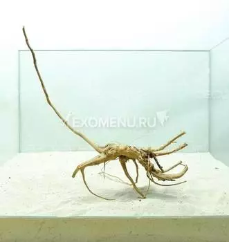 DECOTOP Taiwan XXXS - Натуральная коряга 10-40 см для аквариумов от 15 л