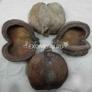 DECOTOP Thelambu pod - Коробочка стеркулии, раскрытая на 1/4, 10×5 см, 1 шт.