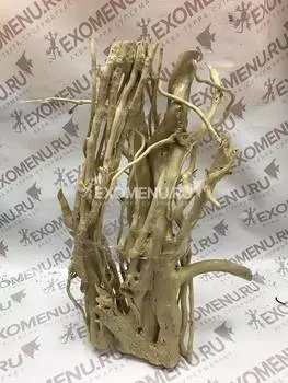 Декор из лианы плюща 50-60 x 20-25