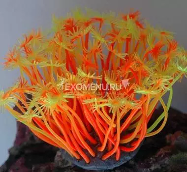 Декор из силикона "Коралл желто-оранжевый" (мягкий) 7.5*7.5*10 см