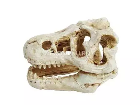 Декорация пластиковая PRIME Череп динозавра 8.5X6X6см PR-BM169-16