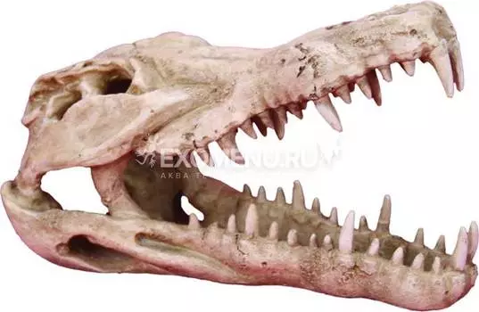 Декорация пластиковая PRIME "Череп крокодила" 250х112х152мм
