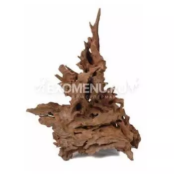 Декорация природная PRIME Коряга Мангровая средняя 30-40см