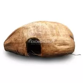 Домик из кокосовой кожуры CocoDo 1PR20