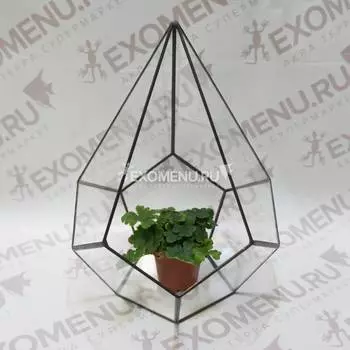 Флорариум: Капля 25 см