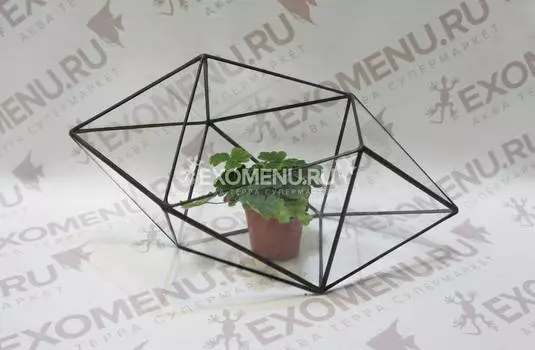 Флорариум: Кристалл черный