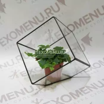 Флорариум: Кубик скошенный малый