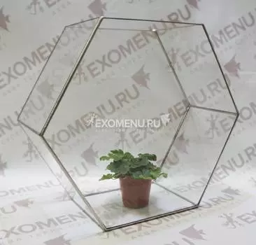 Флорариум: Сота большая серебро