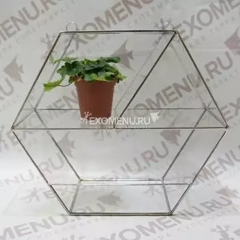 Флорариум: Сота с полкой