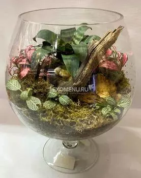 Флорариум "Вдоль берегов Стигии" КП106342