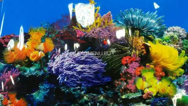 Фон 8001/8002, 500*1000мм "Обитатели рифа/Джунгли", Laguna