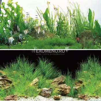 Фон 9030/9038, 0,5*15м "Ночная прогулка/Новое утро"